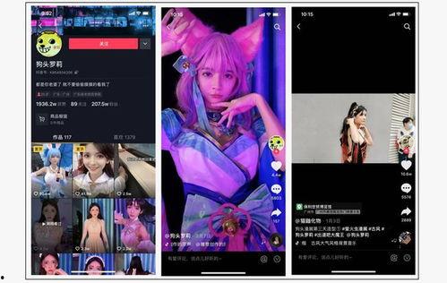 爆料视频动画片大全集,爆款视频大全集深度解析